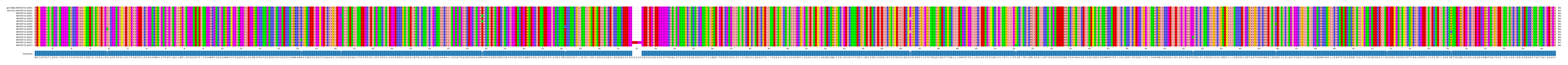 Multiple Alignments (by translate haplotype frequency)