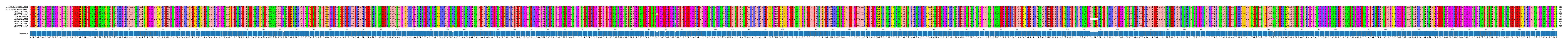 Multiple Alignments (by translate haplotype frequency)