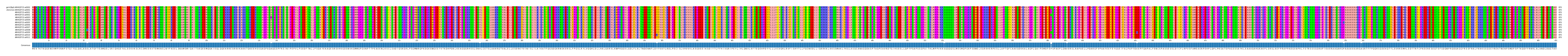 Multiple Alignments (by translate haplotype frequency)