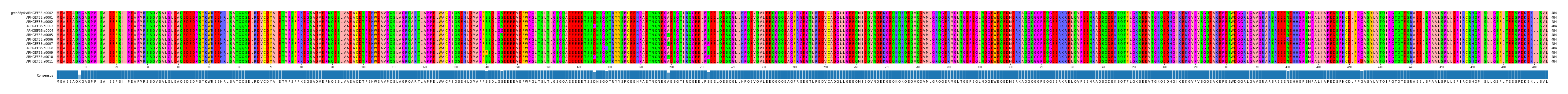 Multiple Alignments (by translate haplotype frequency)
