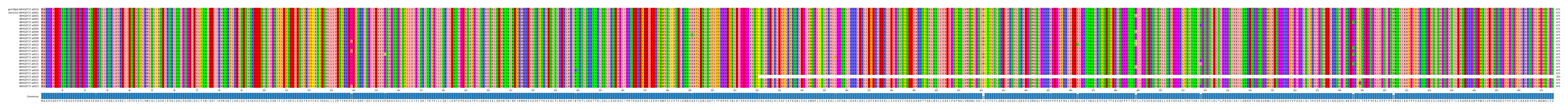Multiple Alignments (by translate haplotype frequency)