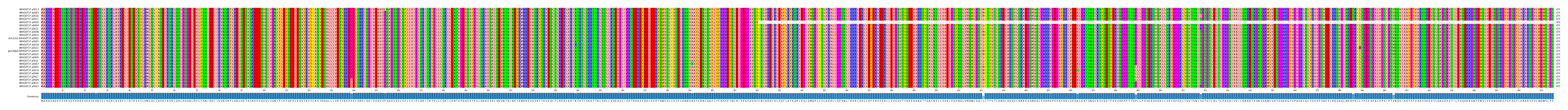 Multiple Alignments (by translate haplotype similarity)