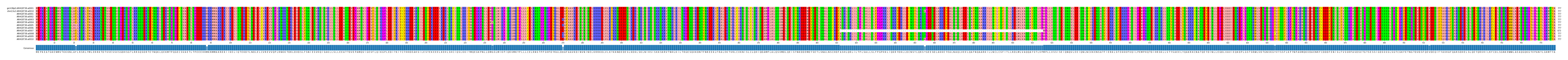 Multiple Alignments (by translate haplotype frequency)