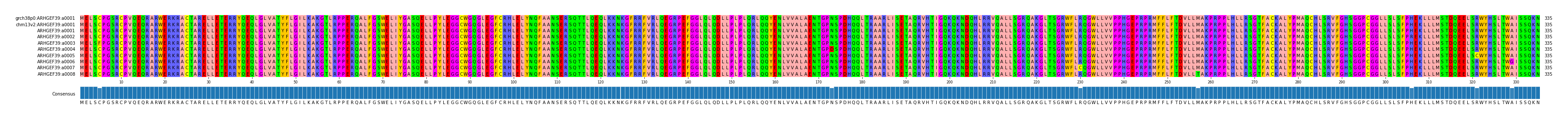 Multiple Alignments (by translate haplotype frequency)