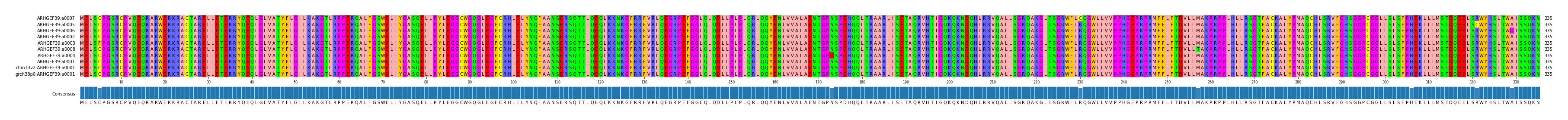 Multiple Alignments (by translate haplotype similarity)