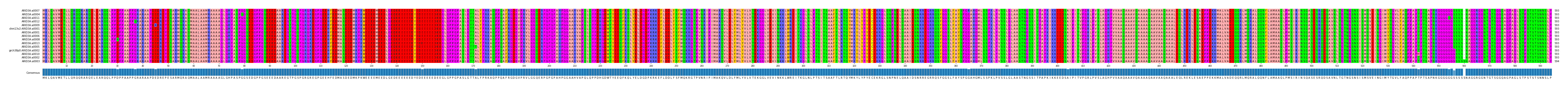 Multiple Alignments (by translate haplotype similarity)