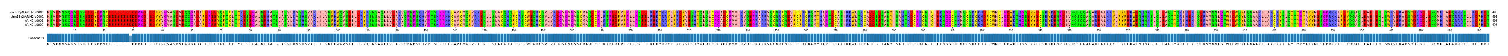 Multiple Alignments (by translate haplotype frequency)