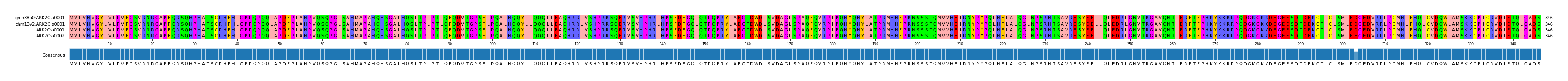 Multiple Alignments (by translate haplotype similarity)