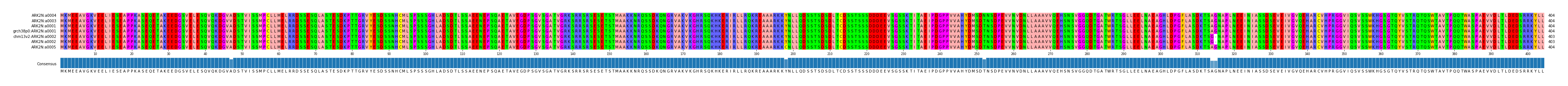 Multiple Alignments (by translate haplotype similarity)