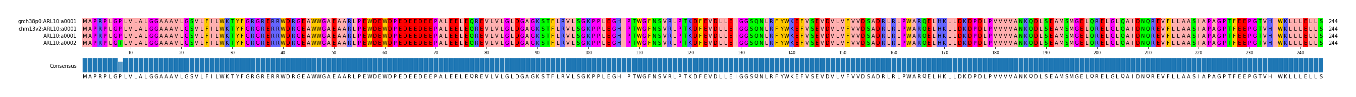 Multiple Alignments (by translate haplotype frequency)
