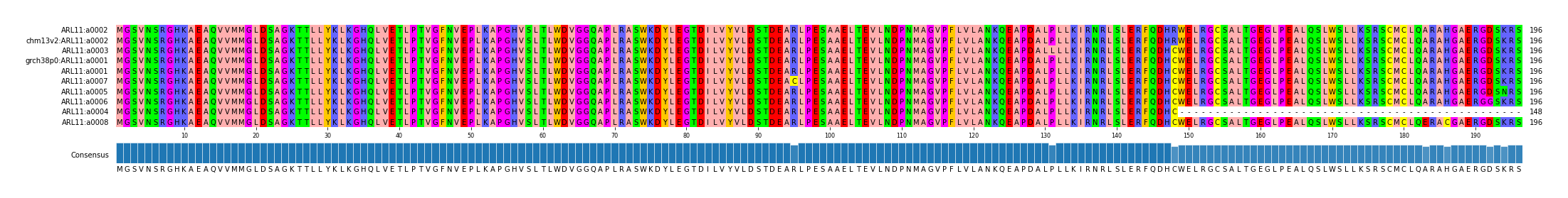 Multiple Alignments (by translate haplotype similarity)