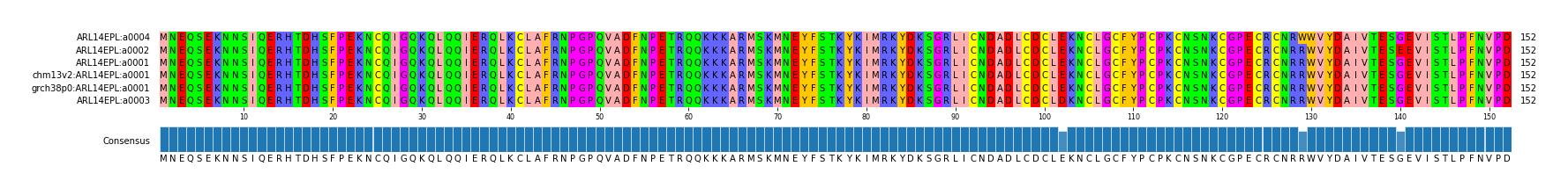 Multiple Alignments (by translate haplotype similarity)