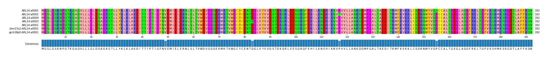 Multiple Alignments (by translate haplotype similarity)