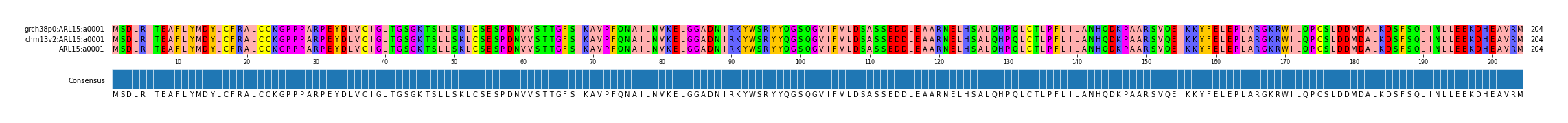 Multiple Alignments (by translate haplotype similarity)
