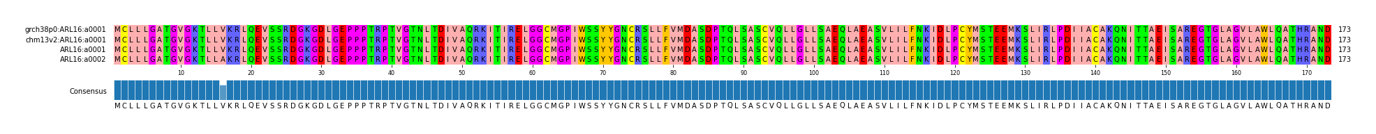 Multiple Alignments (by translate haplotype frequency)