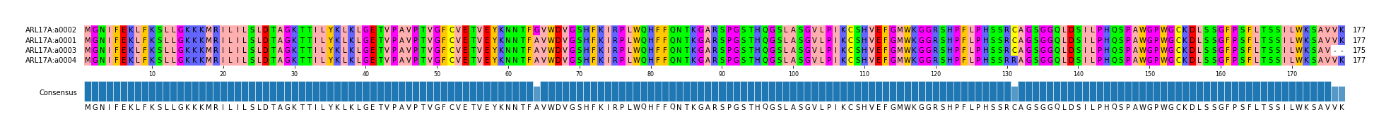 Multiple Alignments (by translate haplotype similarity)