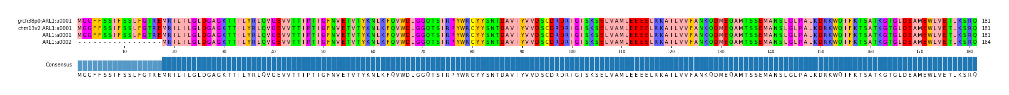 Multiple Alignments (by translate haplotype similarity)