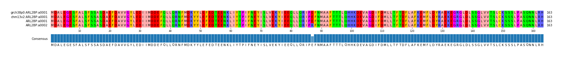 Multiple Alignments (by translate haplotype similarity)