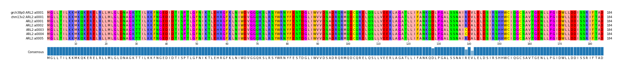 Multiple Alignments (by translate haplotype frequency)
