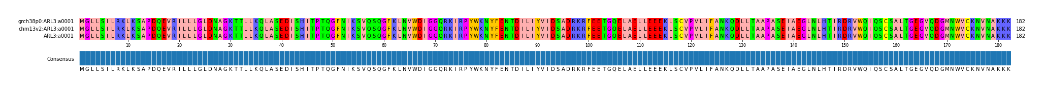 Multiple Alignments (by translate haplotype similarity)
