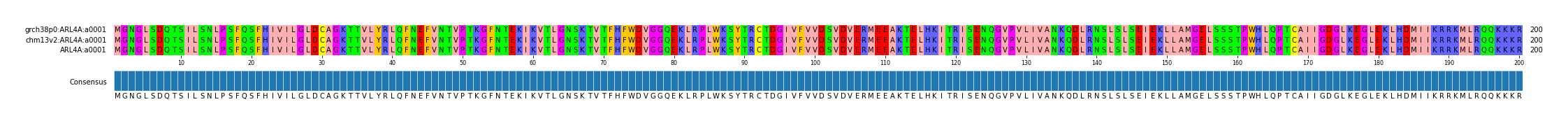 Multiple Alignments (by translate haplotype similarity)