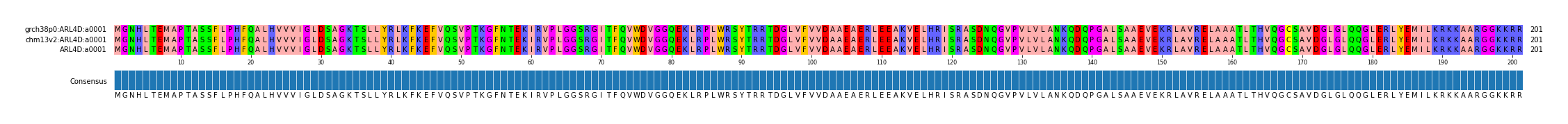 Multiple Alignments (by translate haplotype similarity)