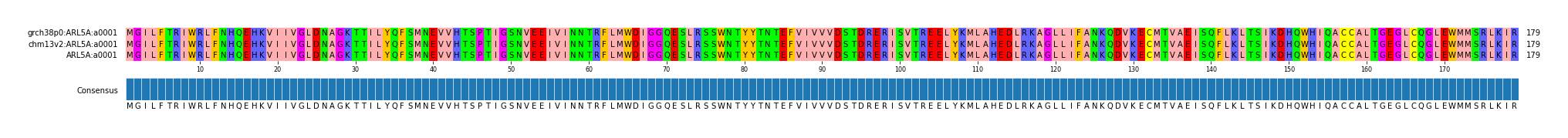 Multiple Alignments (by translate haplotype similarity)