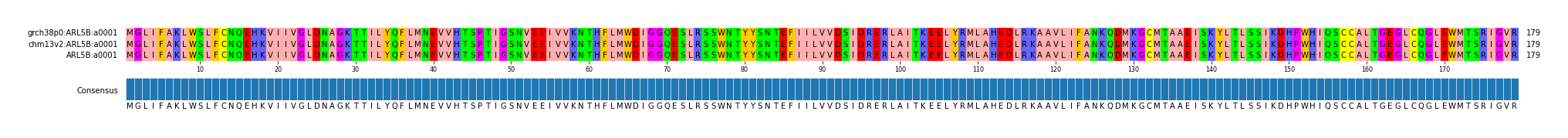 Multiple Alignments (by translate haplotype similarity)
