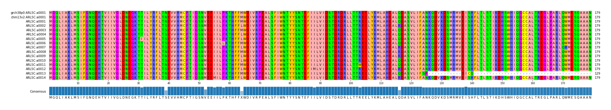 Multiple Alignments (by translate haplotype frequency)