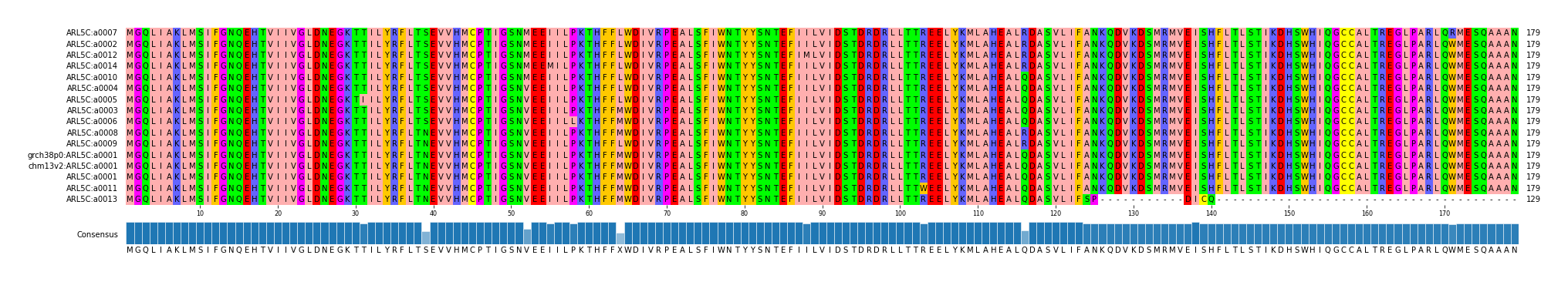 Multiple Alignments (by translate haplotype similarity)