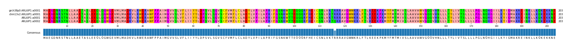 Multiple Alignments (by translate haplotype similarity)