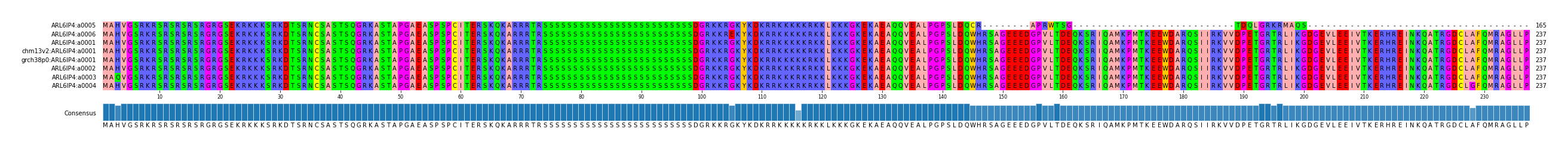 Multiple Alignments (by translate haplotype similarity)