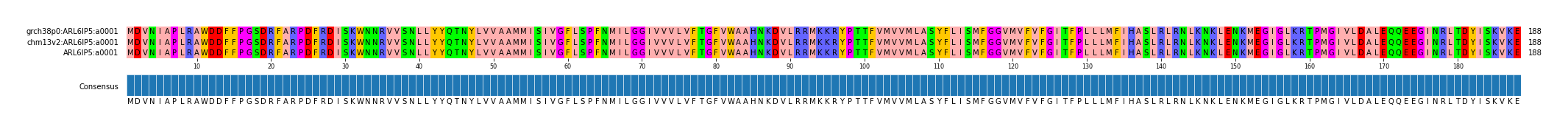 Multiple Alignments (by translate haplotype similarity)