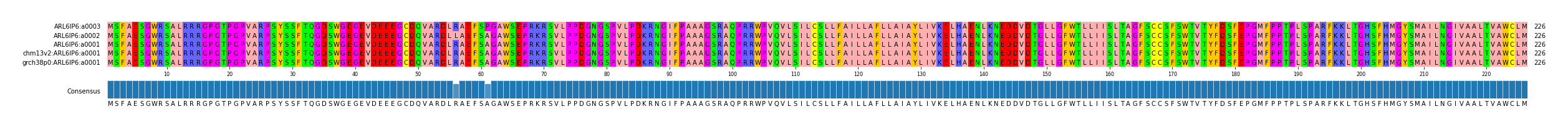 Multiple Alignments (by translate haplotype similarity)