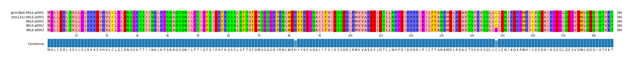 Multiple Alignments (by translate haplotype frequency)