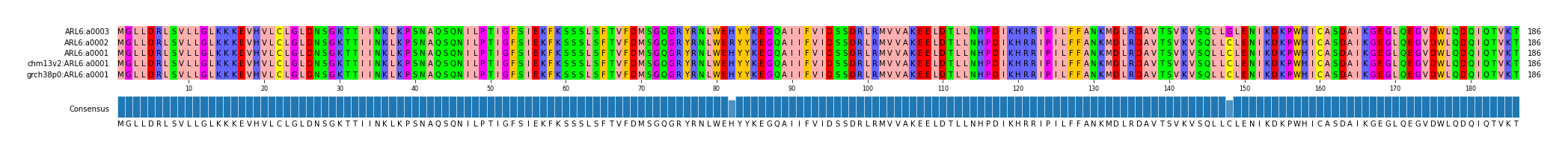 Multiple Alignments (by translate haplotype similarity)