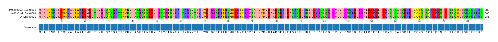 Multiple Alignments (by translate haplotype similarity)