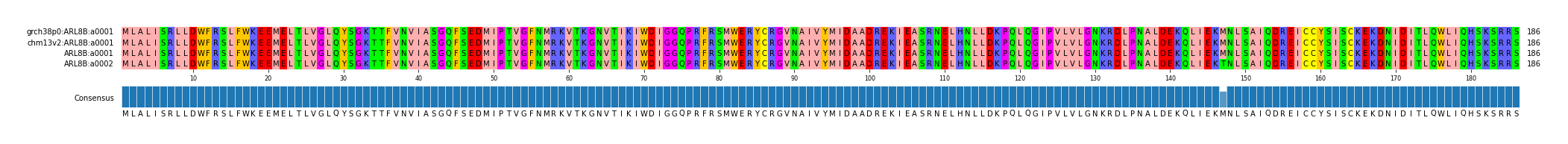 Multiple Alignments (by translate haplotype similarity)