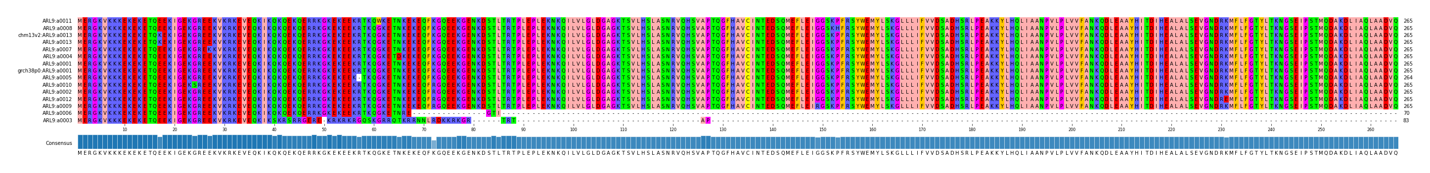 Multiple Alignments (by translate haplotype similarity)