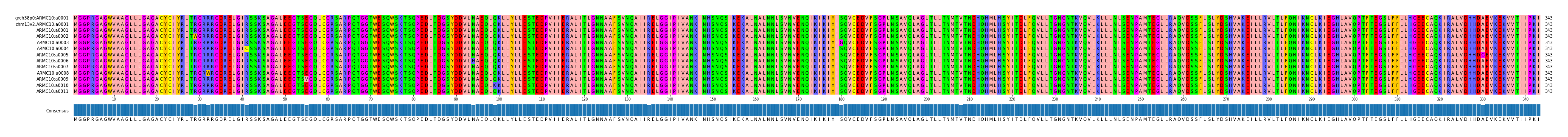 Multiple Alignments (by translate haplotype frequency)