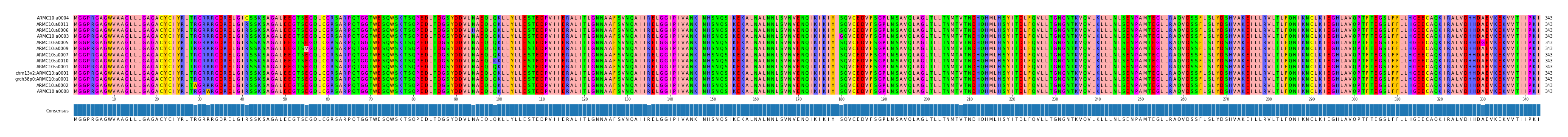 Multiple Alignments (by translate haplotype similarity)
