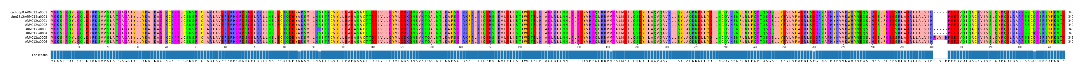 Multiple Alignments (by translate haplotype frequency)