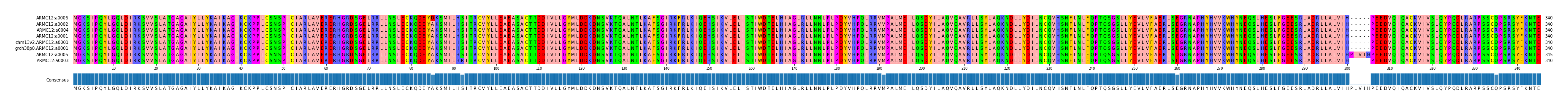 Multiple Alignments (by translate haplotype similarity)
