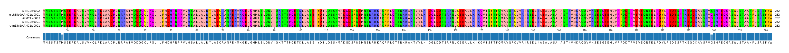 Multiple Alignments (by translate haplotype similarity)