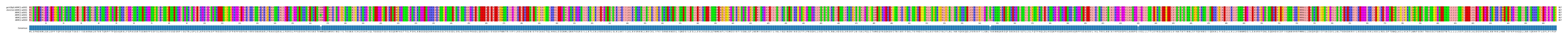 Multiple Alignments (by translate haplotype frequency)