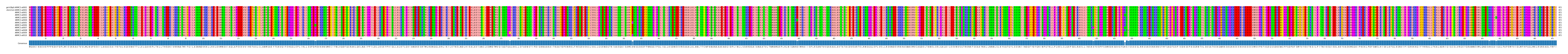 Multiple Alignments (by translate haplotype frequency)