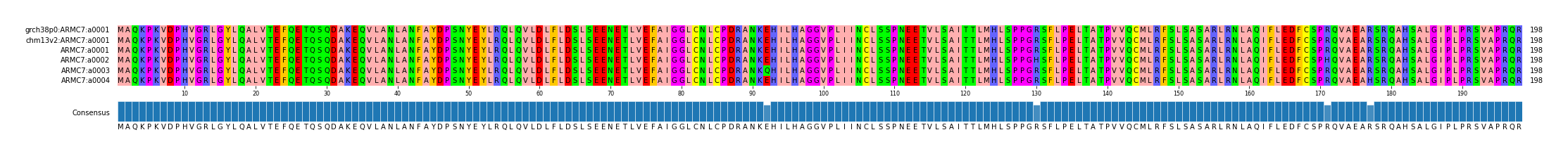 Multiple Alignments (by translate haplotype frequency)