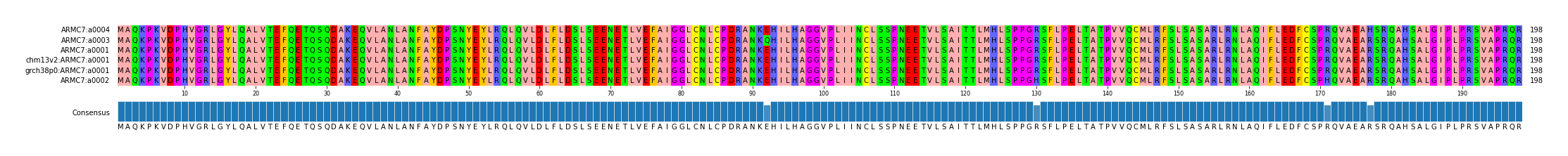 Multiple Alignments (by translate haplotype similarity)