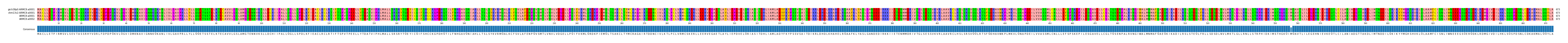 Multiple Alignments (by translate haplotype similarity)