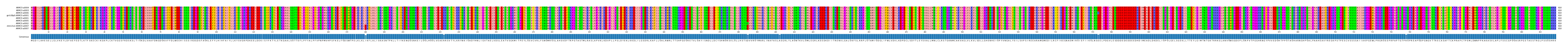 Multiple Alignments (by translate haplotype similarity)